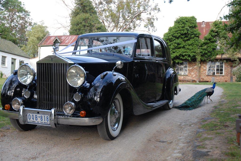 rolls royce 1947 wraith RSV Limo Hire 1